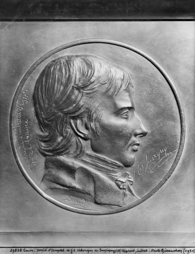 Friedrich Karl von Savigny de Pierre Jean David d